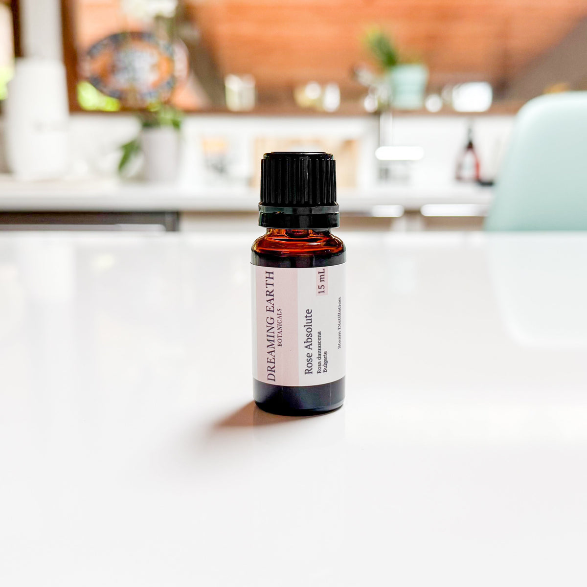 Rose Absolute Essential Oil – Dreaming Earth Botanicals