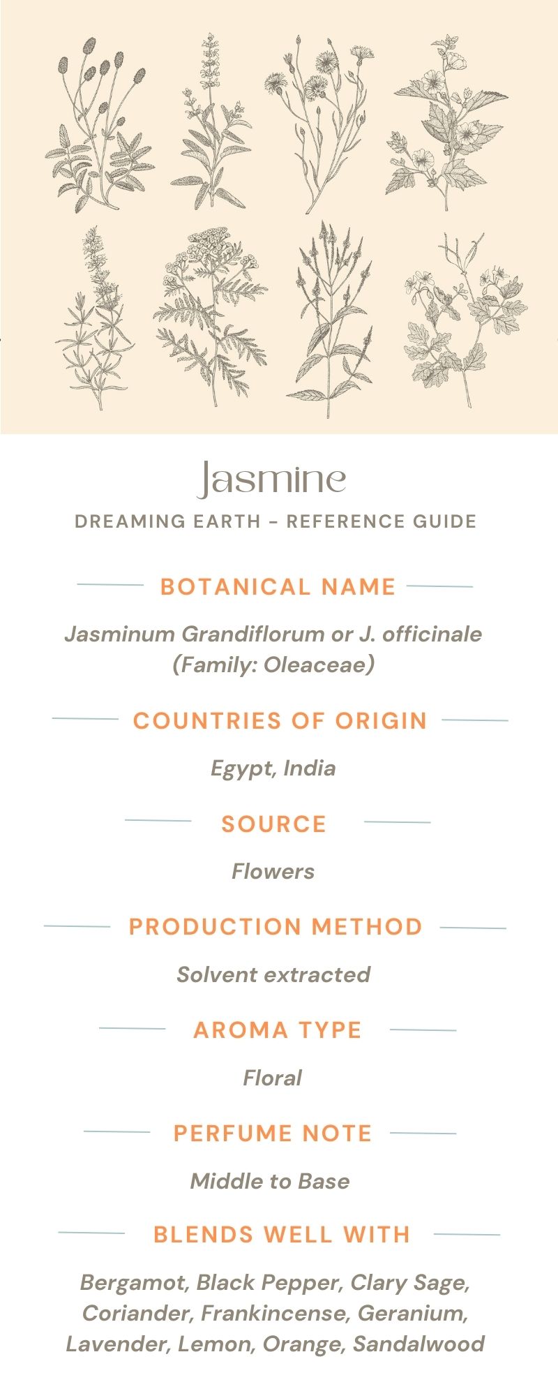 Load image into Gallery viewer, Jasmine Absolute - Dreaming Earth Inc
