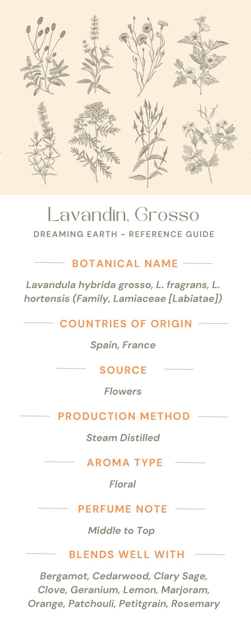 Load image into Gallery viewer, Lavandin Organic Essential Oil - Dreaming Earth Inc
