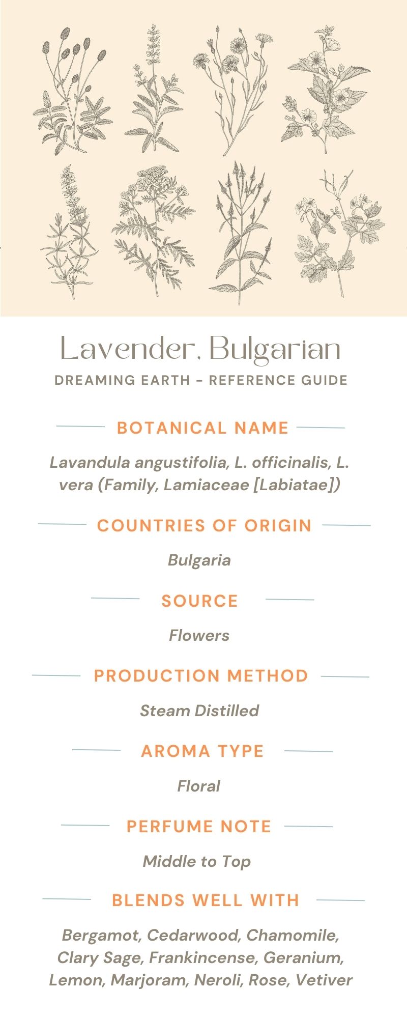 Load image into Gallery viewer, Lavender, Eastern Europe Essential Oil
