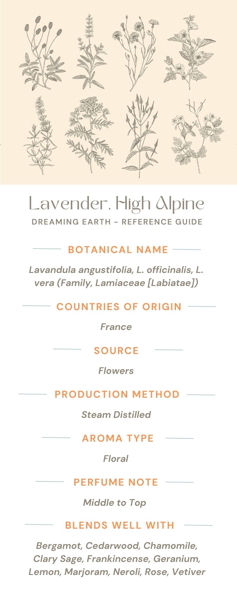 Load image into Gallery viewer, Lavender, High Alpine Essential Oil - Dreaming Earth Inc
