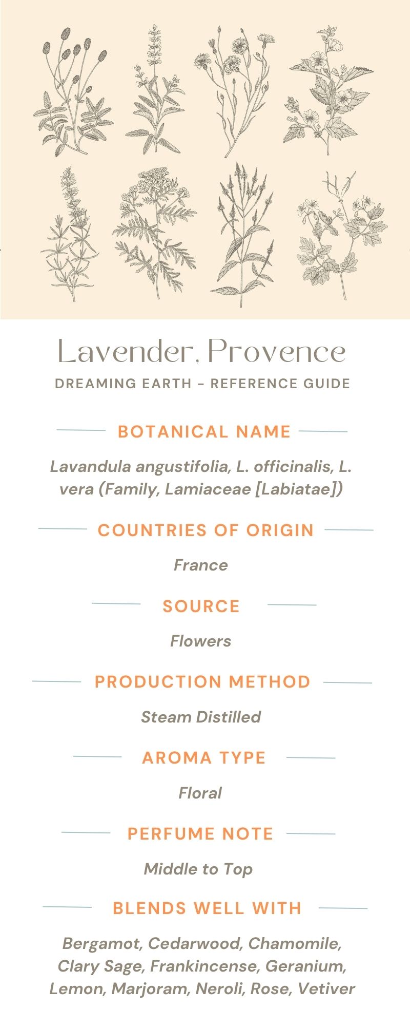 Load image into Gallery viewer, Lavender Provence - Organic Essential Oil - Dreaming Earth Inc
