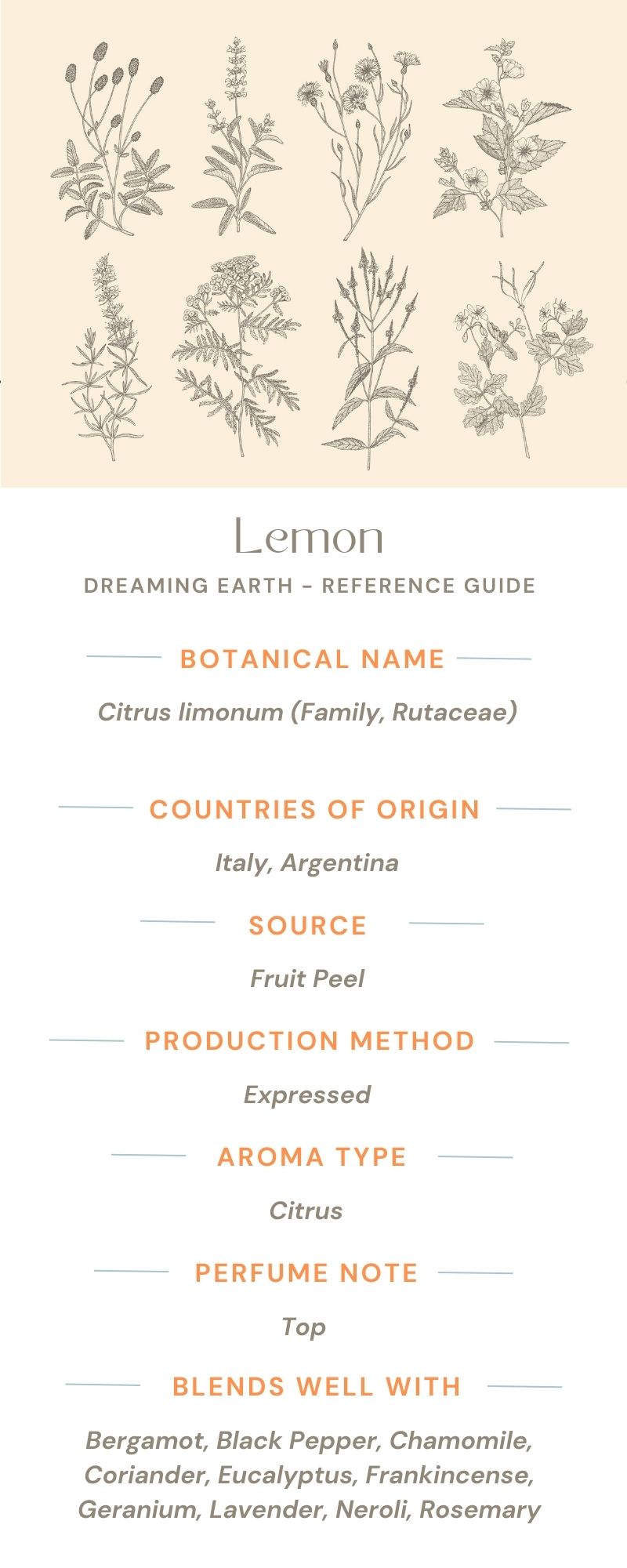Load image into Gallery viewer, Lemon Essential Oil - Dreaming Earth Inc
