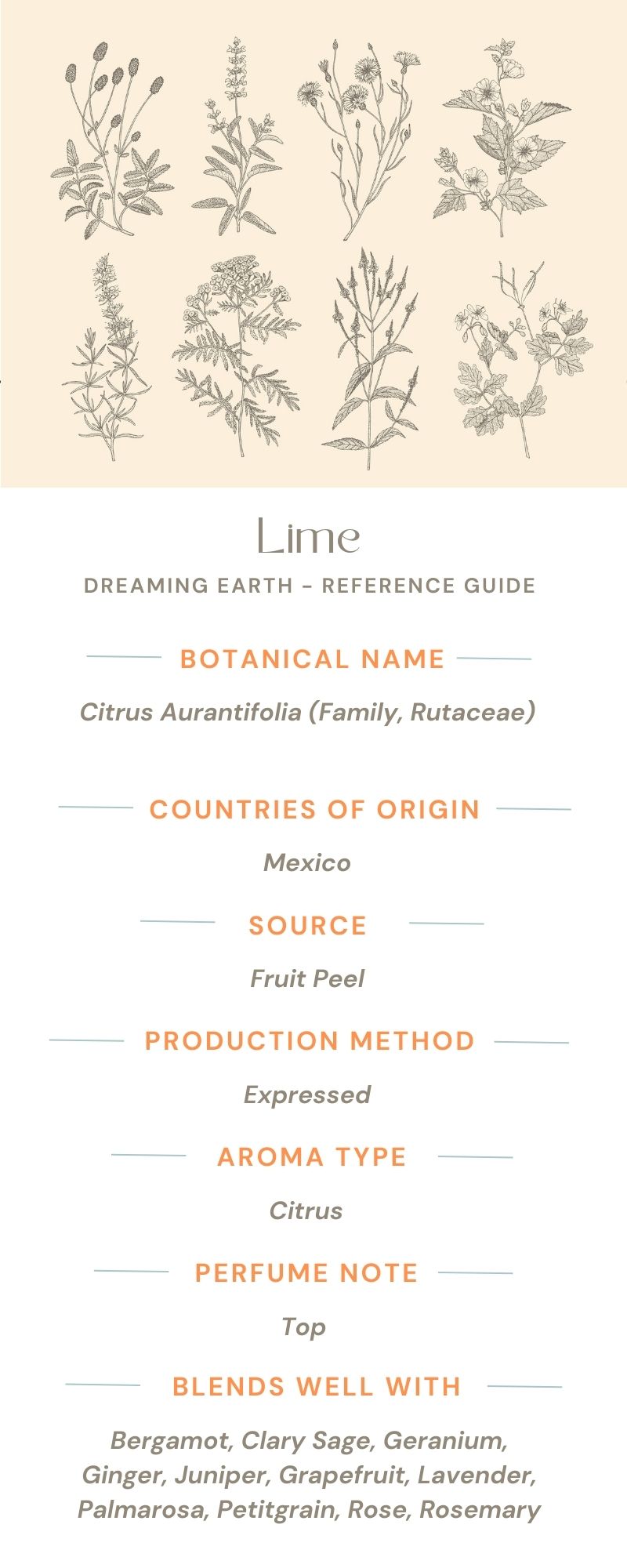 Load image into Gallery viewer, Lime Organic Essential Oil - Dreaming Earth Inc
