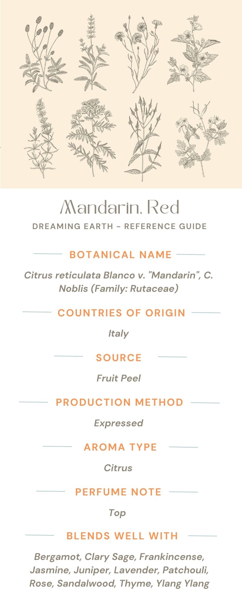 Load image into Gallery viewer, Mandarin Essential Oil (Red) - Dreaming Earth Inc
