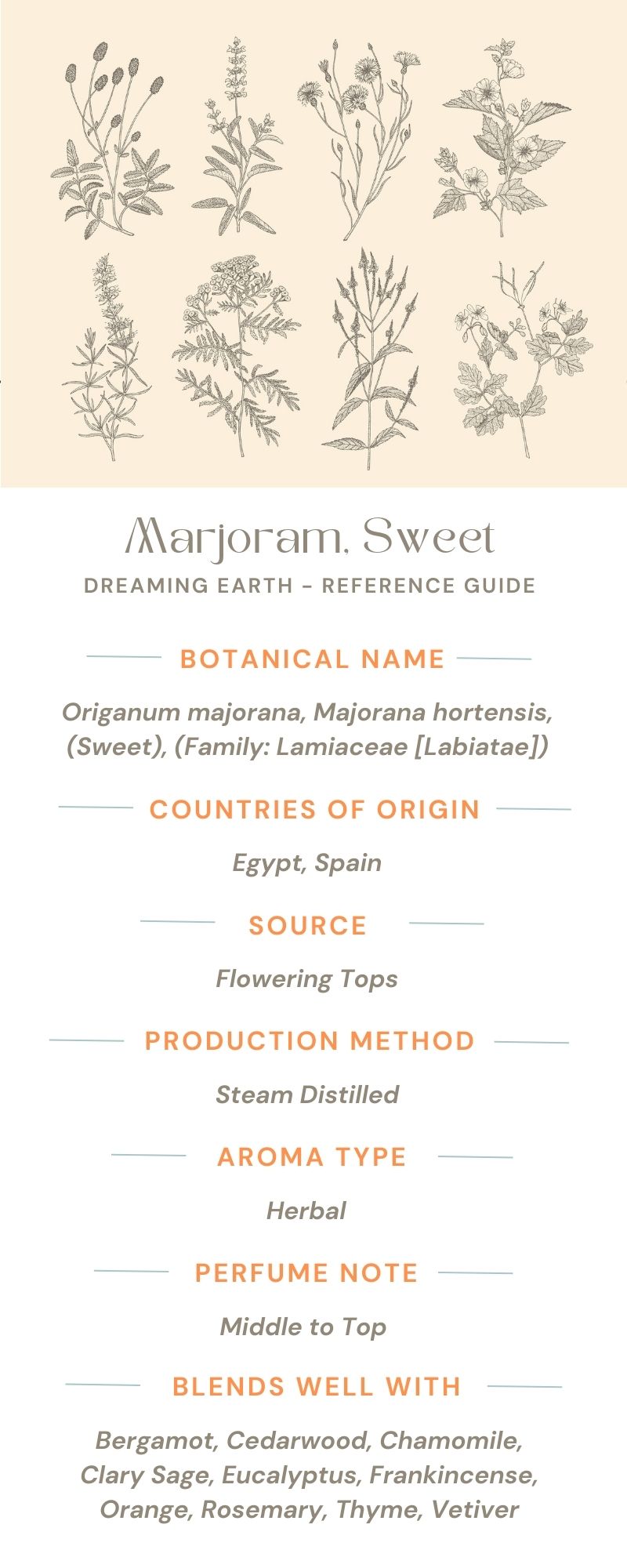 Load image into Gallery viewer, Marjoram Sweet, Organic Essential Oil - Dreaming Earth Inc
