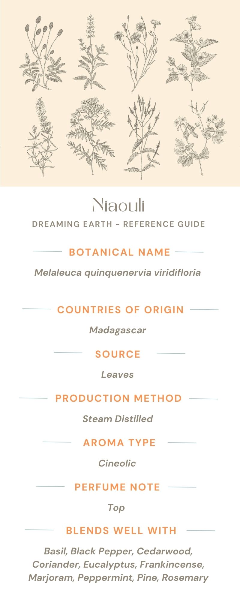 Load image into Gallery viewer, Niaouli Organic Essential Oil - Dreaming Earth Inc
