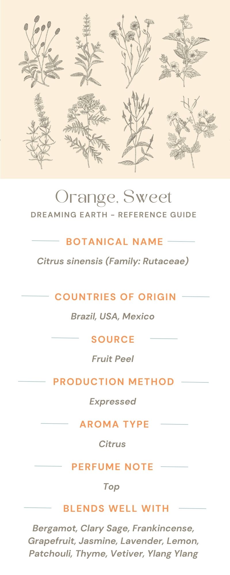 Load image into Gallery viewer, Orange, Sweet Organic Essential Oil - Dreaming Earth Inc
