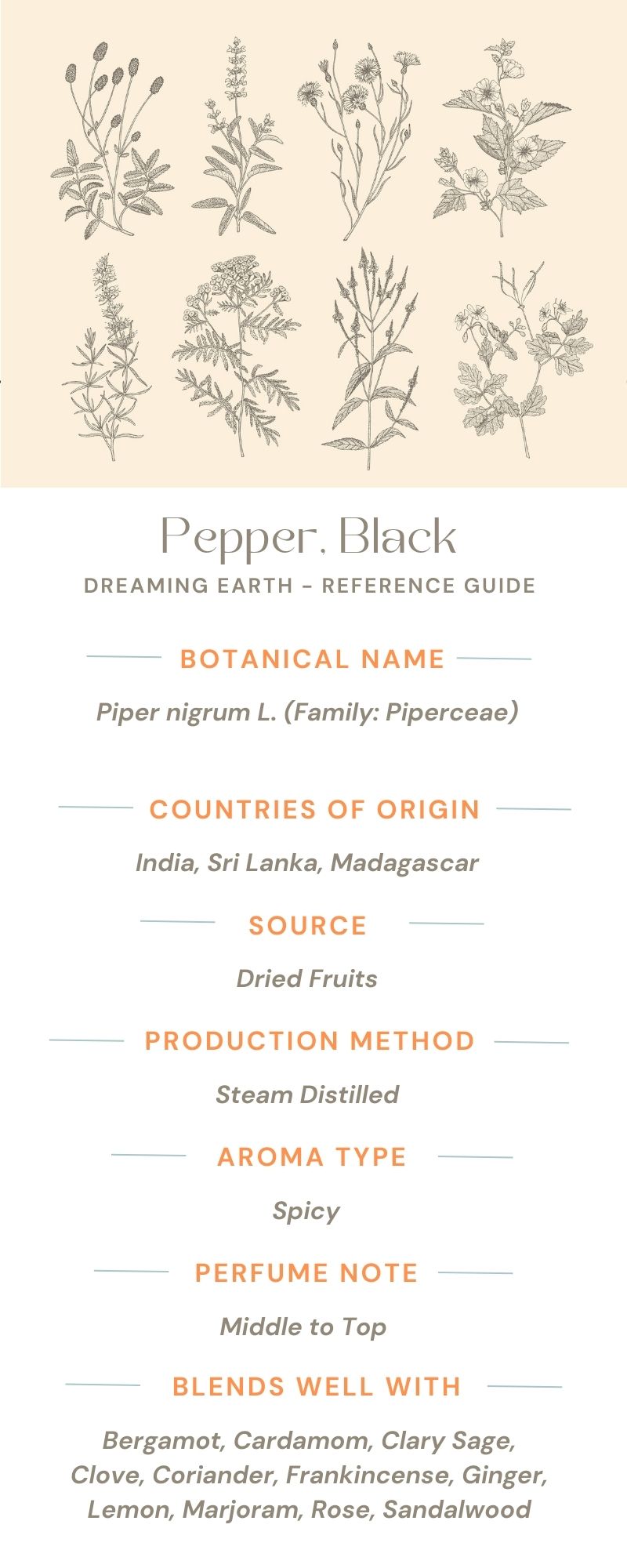 Pepper, Black Organic Essential Oil - Dreaming Earth Inc
