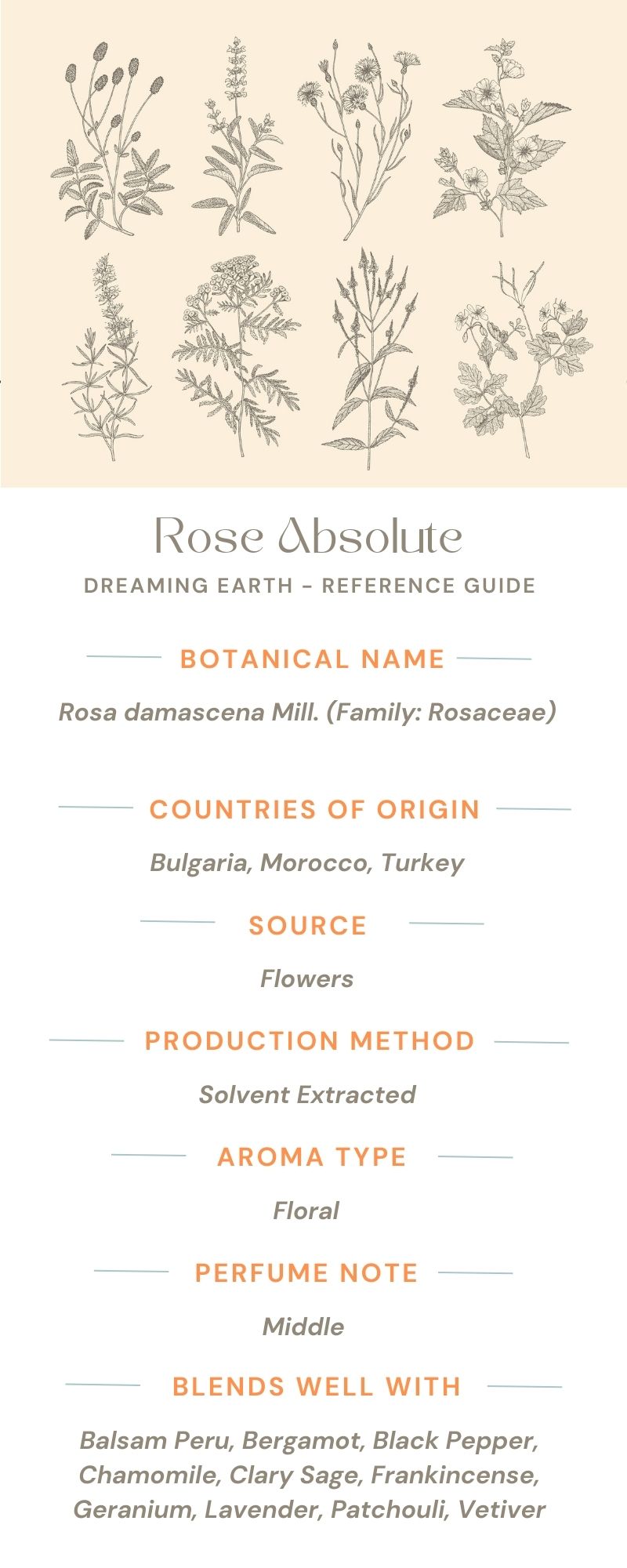 Load image into Gallery viewer, Rose Absolute (Maroc) Essential Oil - Dreaming Earth Inc
