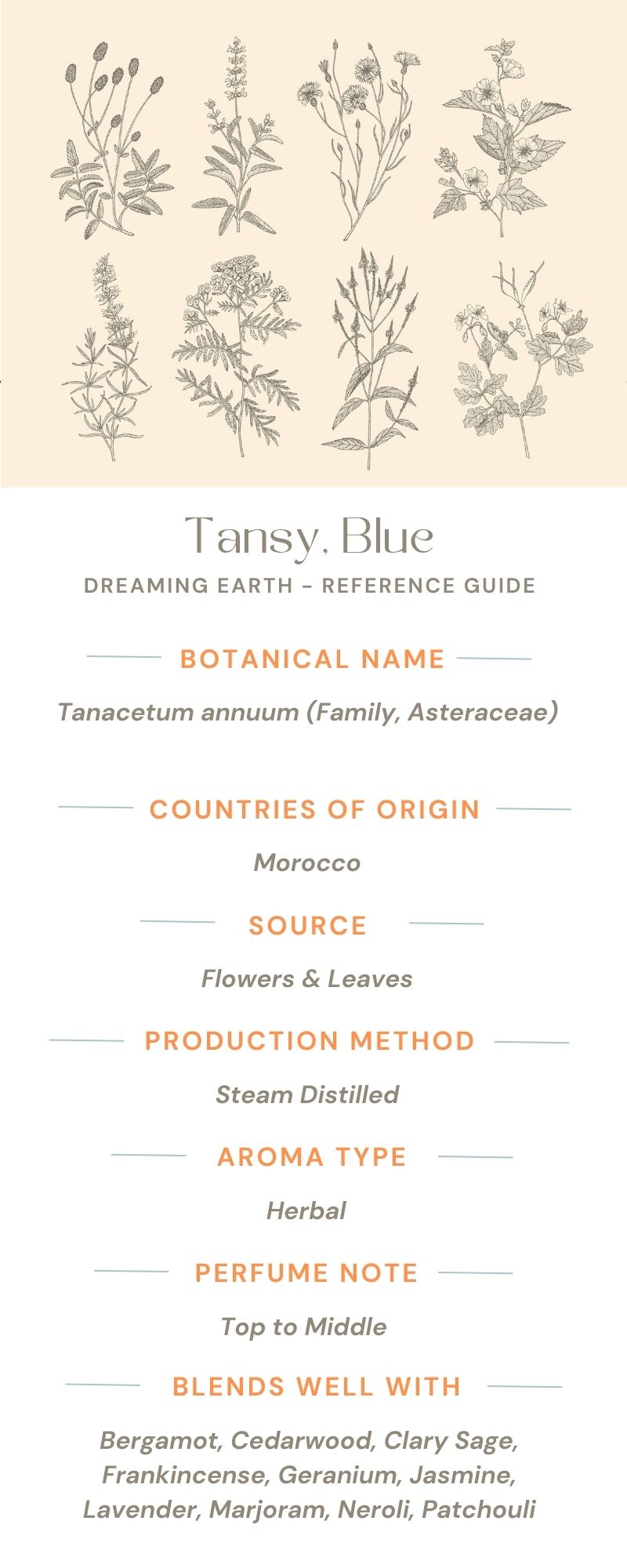 Load image into Gallery viewer, Tansy, Blue Essential Oil
